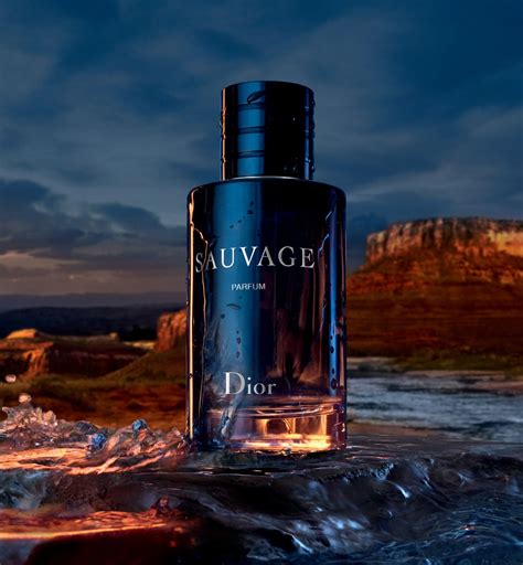 perfume dior sauvage|Dior Sauvage cheapest price.